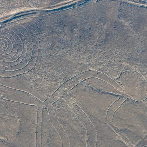 AI Unveils New Large-Scale Images in Peruvian Desert