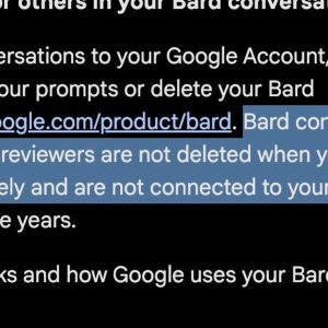 ChatGPT Or Google Bard? Privacy Or Performance? All Questions Answered
