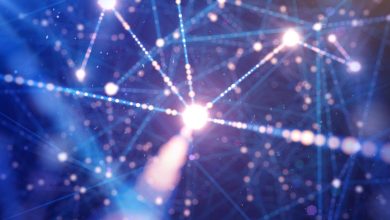 Human oversight key to keeping AI honest