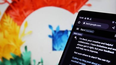 Ireland stalls Google Bard roll-out in European Union • The Register