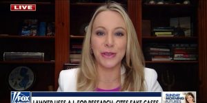 Lawyer uses AI, cites fake cases, ‘the biggest losers are his clients’: Lexi Rigden