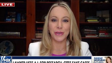 Lawyer uses AI, cites fake cases, ‘the biggest losers are his clients’: Lexi Rigden