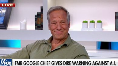 Mike Rowe to Americans concerned about AI: 'Learn a skill that can't be replaced by a robot'