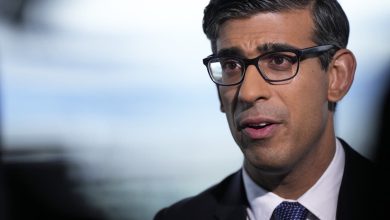 Rishi Sunak: Guardrails needed to regulate growth of AI