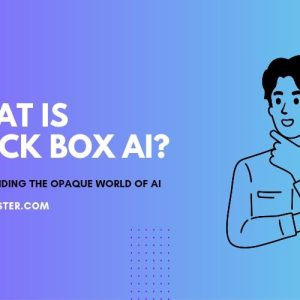 What is Black Box AI?
