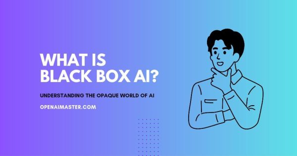 What is Black Box AI?