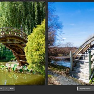 Adobe Unveils New AI-Powered Tools For Image Generation And Expansion