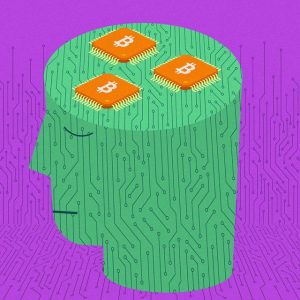 Crypto Miners Seek a New Life in AI Boom After an Implosion in Mining