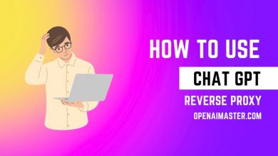How to Use Chat GPT Reverse Proxy
