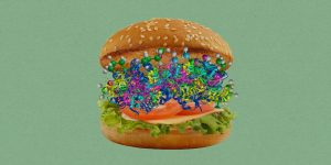 Lab-grown meat's climate impact, and Congress' AI plans