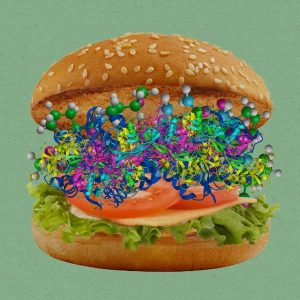 Lab-grown meat's climate impact, and Congress' AI plans