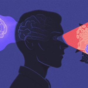 Old Memories Can Prime Brains to Make New Ones