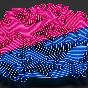 One Shot of a Kidney Protein Gave Monkeys a Brain Boost