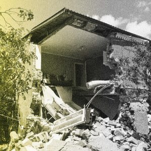 Ukraine War: Botanists Risked Their Lives for a Priceless Collection