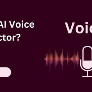 What is AI Voice Detector?
