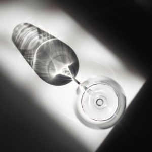 Injecting a Gene Into Monkeys' Brains Curbed Their Alcohol Use