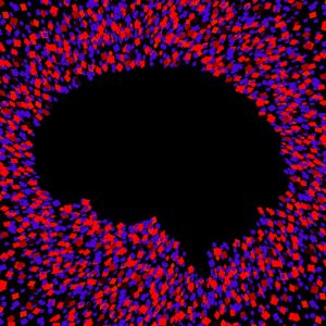 This Showdown Between Humans and Chatbots Could Keep You Safe From Bad AI