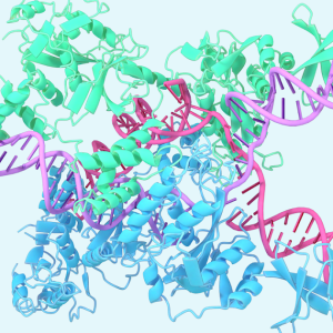 A glimpse of the next generation of AlphaFold