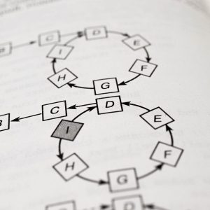 Causal Diagram: Confronting the Achilles’ Heel in Observational Data | by Zijing Zhu, PhD | Nov, 2023