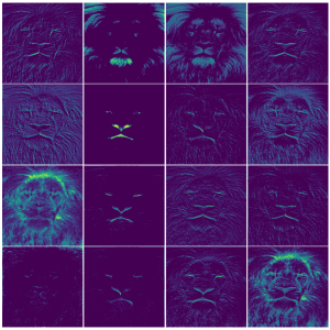 Exploring Feature Extraction with CNNs | by Rodrigo Silva | Nov, 2023