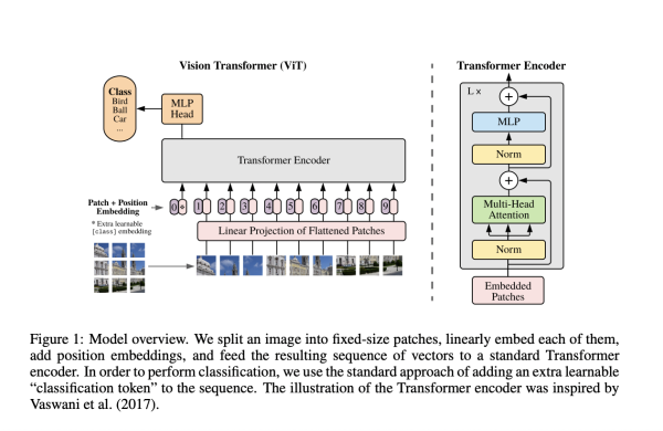 Reimagining Image Recognition: Unveiling Google's Vision Transformer (ViT) Model's Paradigm Shift in Visual Data Processing