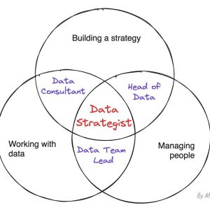 Would You Become a Data Strategist? | by Marie Lefevre | Nov, 2023